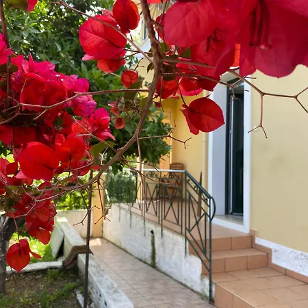 Apartamento Neighborhood